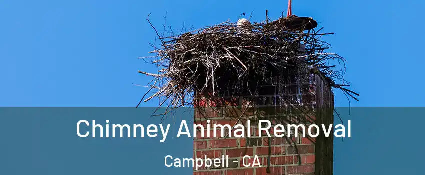  Chimney Animal Removal Campbell - CA