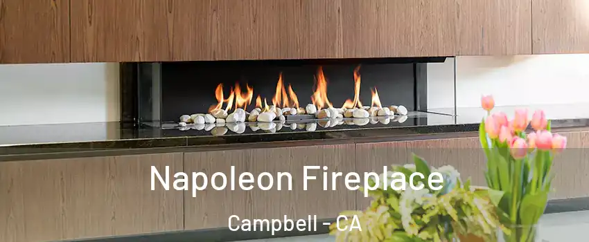  Napoleon Fireplace Campbell - CA